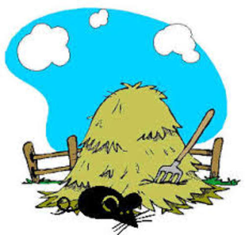 Jan Baptist van Helmont