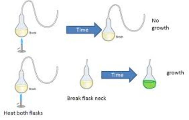 Louis Pasteur disproved spontanious generation.