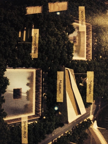 the best vacation ever