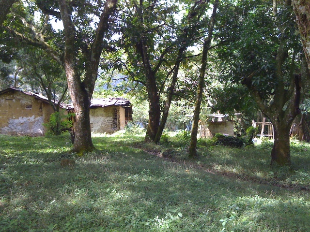 Cerro el encanto de el Hatillo