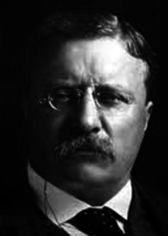 Theodore Roosevelt