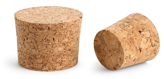 Robert Hooke observed a cork and introduced the word "cell"