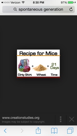 Jan Baptist van Helmont