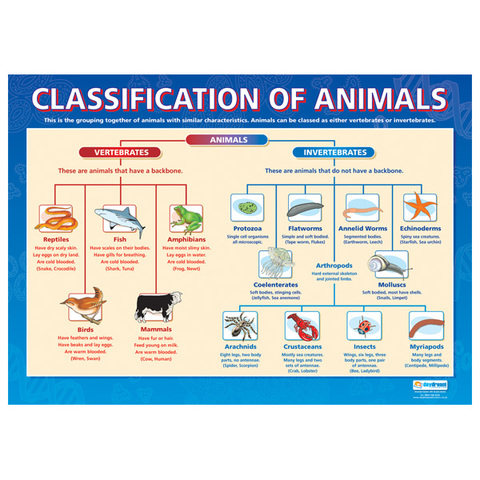 Lorenz Oken comes up with new system of animal classification