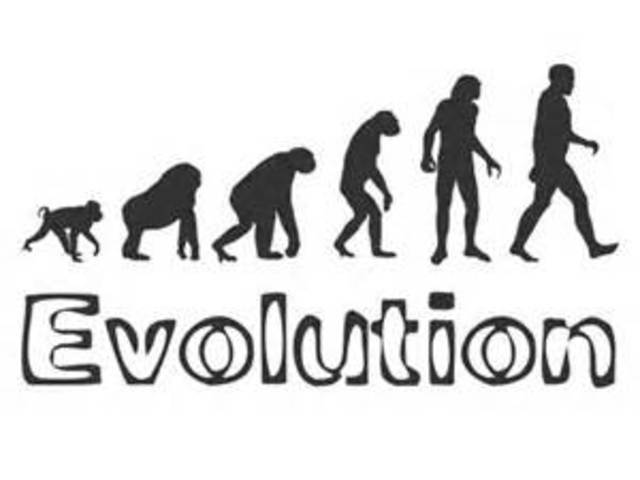 Lorenz Oken creates a new animal classification system.