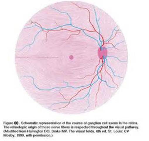 Albrecht von Roelliker