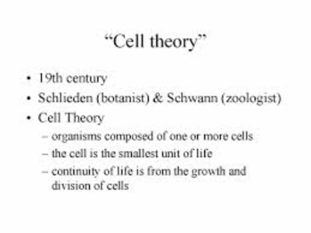 Theodor Schwann Developes Cell Theory