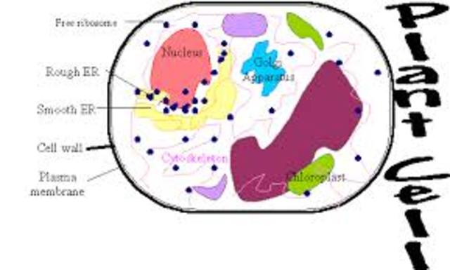 Robert Brown Discovers Nucleus