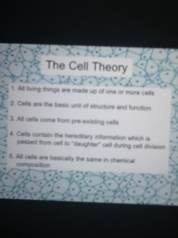 Schleiden part of cell theory