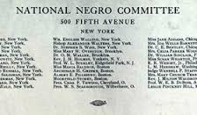 National Negro Committee Formation