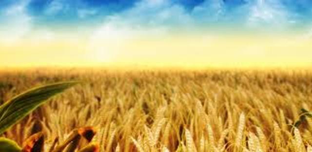 День Мелиоратора