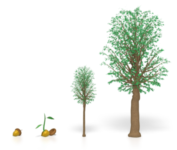 Jan Babtist van Helmont