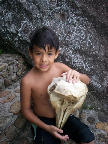 Lucas Kim - 9 anos: Jurassic Park