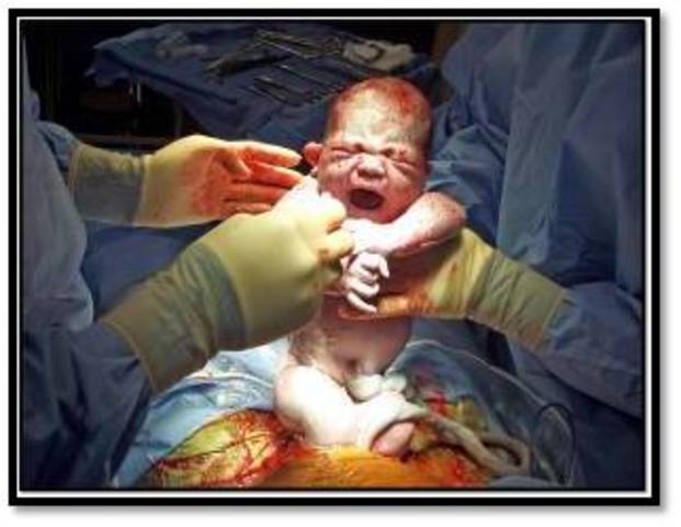 newborn baby