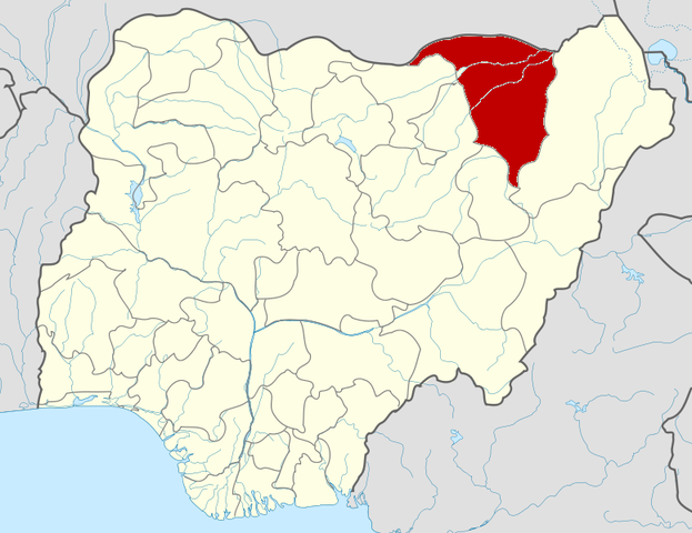 Coordinated attacks on Damaturu, Yobe State capital