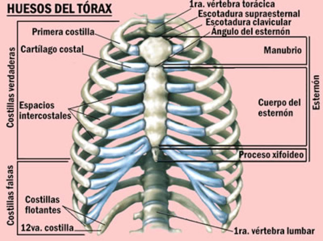 Great challenge of my life.