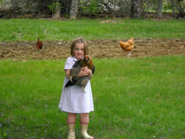 My 1st chicken...named Big Tiny