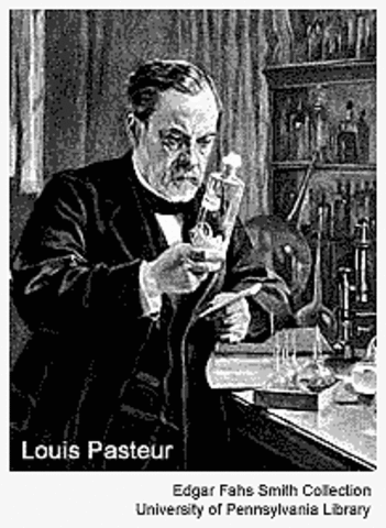Pasteur came up with a process that says if you drink wine and milk you will less likely get sick.Which was based of the germ theory.