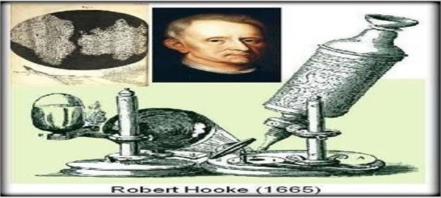 ROBERT HOOKE