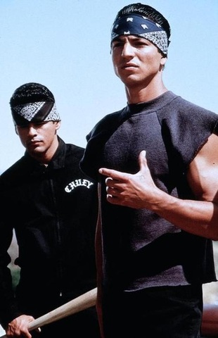 CHOLOS POR SIEMPRE CARNAL