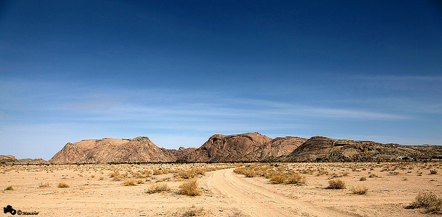 سرية أبي سلمة بن عبد الأسد إلى قطن
