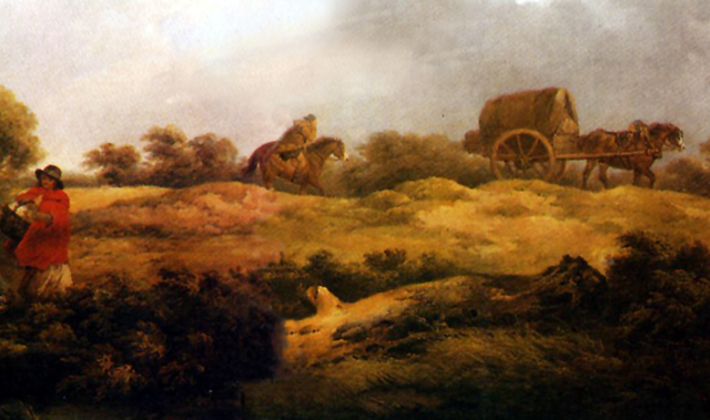 Agricultural Activity