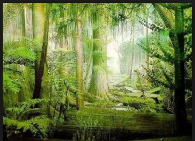 Carboniferous Period