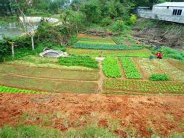 Agricultutal activity