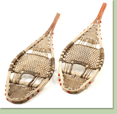 Organization and occupation of the territory