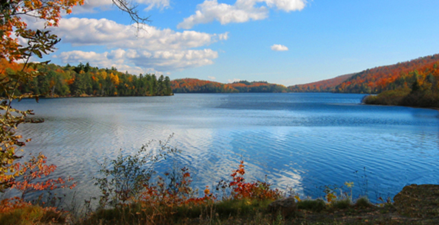 Opening of New Regions