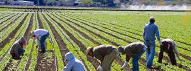 Agricultural Activity