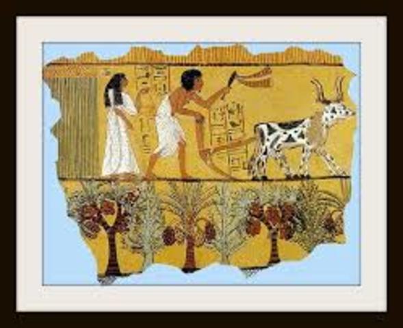 Agriculture Revolution