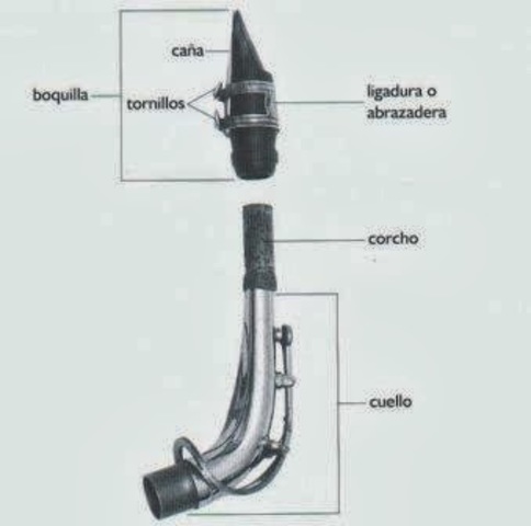 Partes del Saxofón