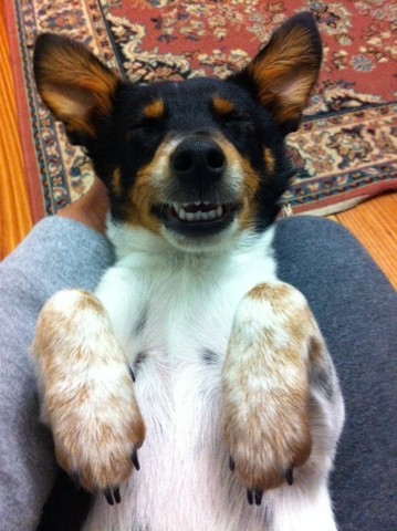 Charlie is born smiling