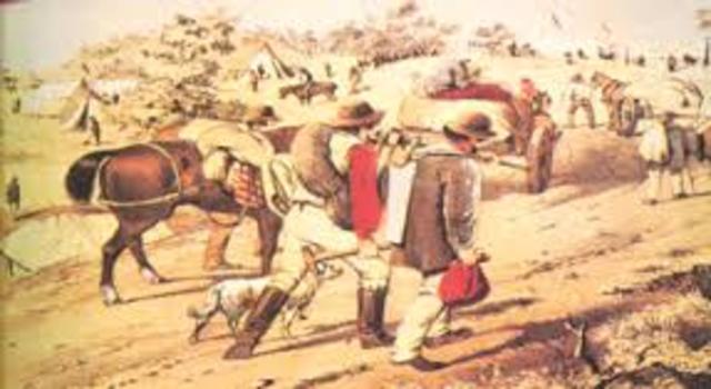 Gold Discovered in Queensland