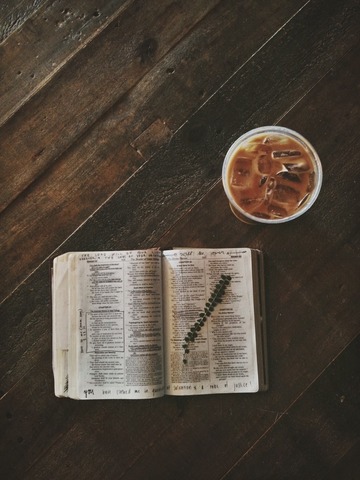 Gustos por la lectura.