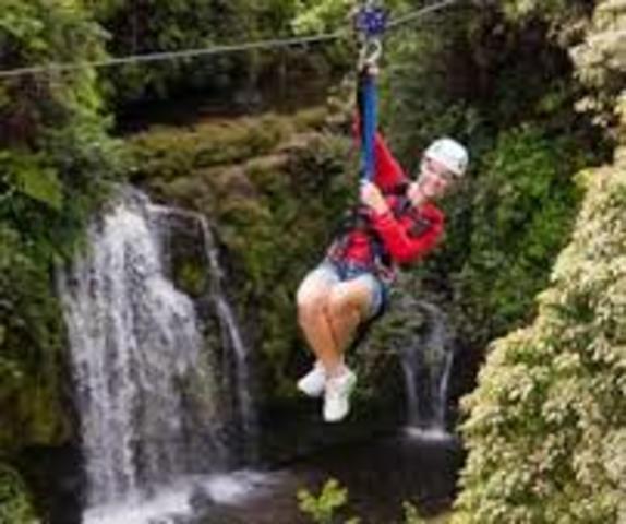 Zipline