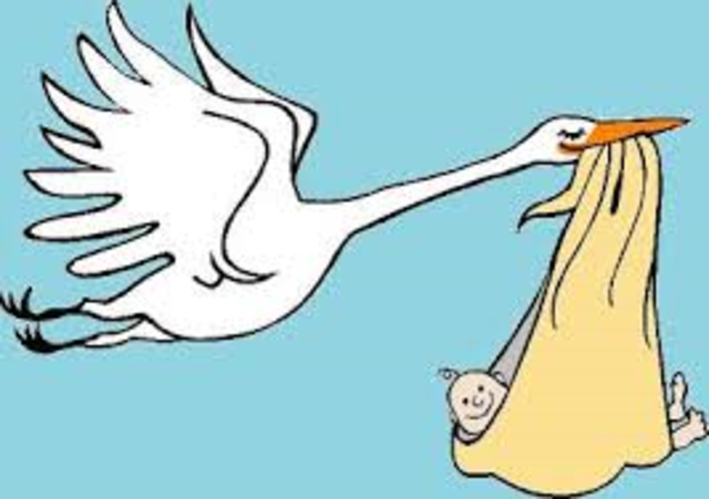 PRACTICAS DEL GRADO SUPERIOR EN LA ESCUELA INFANTIL "LA CIGUEÑA"