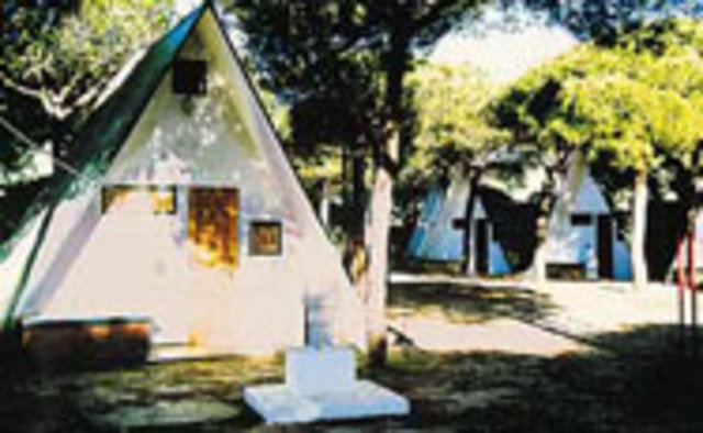 Viaje de fin de curso a doñana (huelva) con el cole