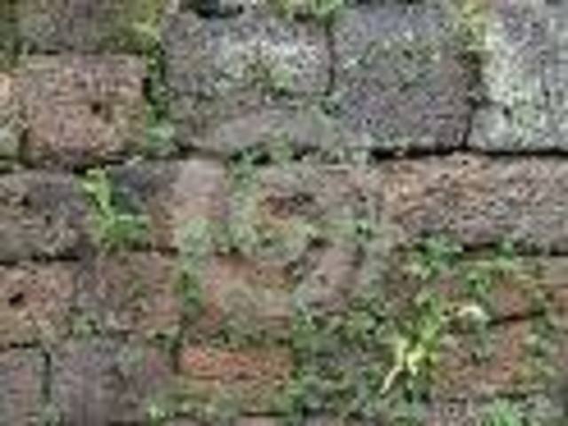 The Wall and expansion