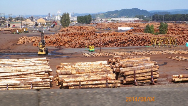 Economy based on timber