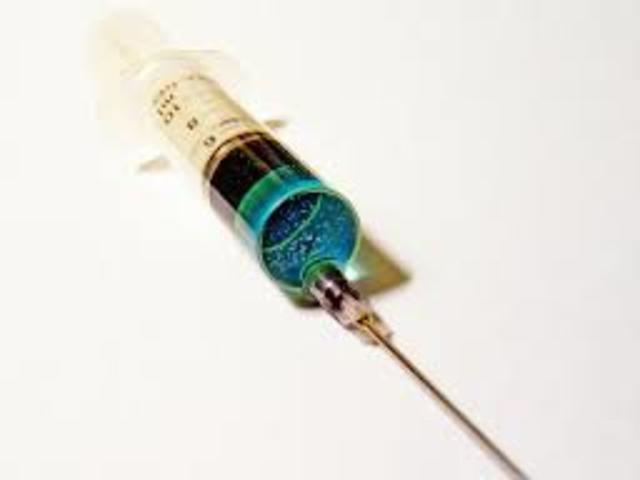 Everyone at Dauntless is injected with serum made by Erudite.
