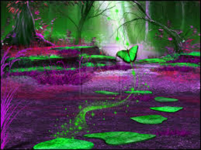 Mr. Travis says not to go off the path and why