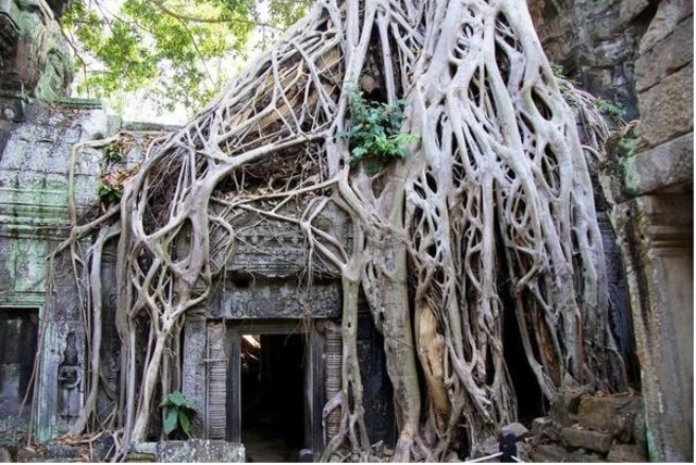 Angkor Wat is abandoned