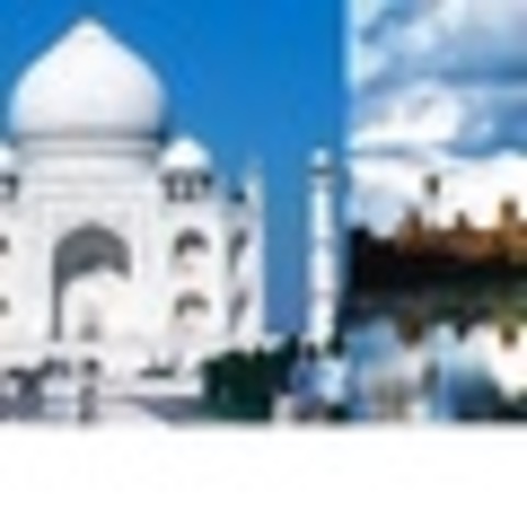 Kingdom Establishments