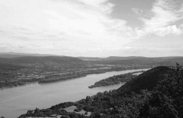 Готы под командованием Фритигерна и Алавива переправились через Дунай