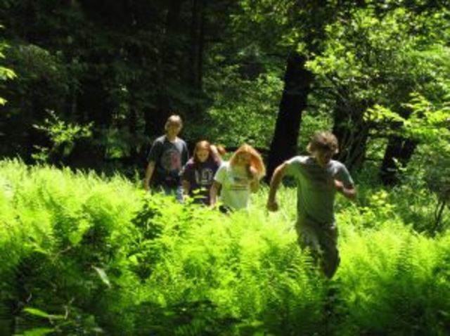 Time To Rock and Roll