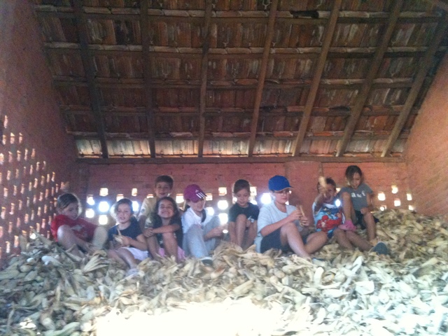 No morro de milho (Amanda)