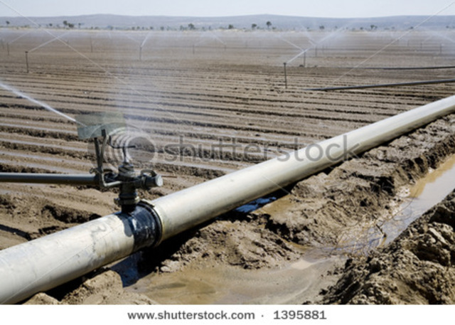 Large-scale irrigation begins in Texas when canals are built in the vicinity of Del Rio