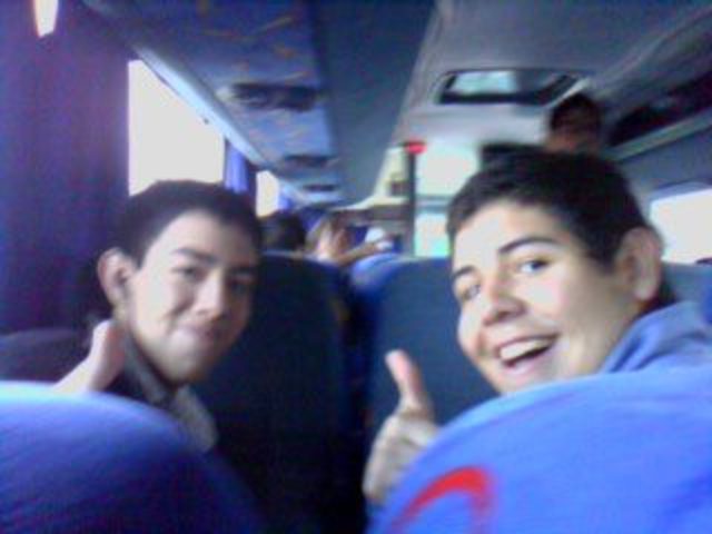 Visité el delfinario junto a la escuela